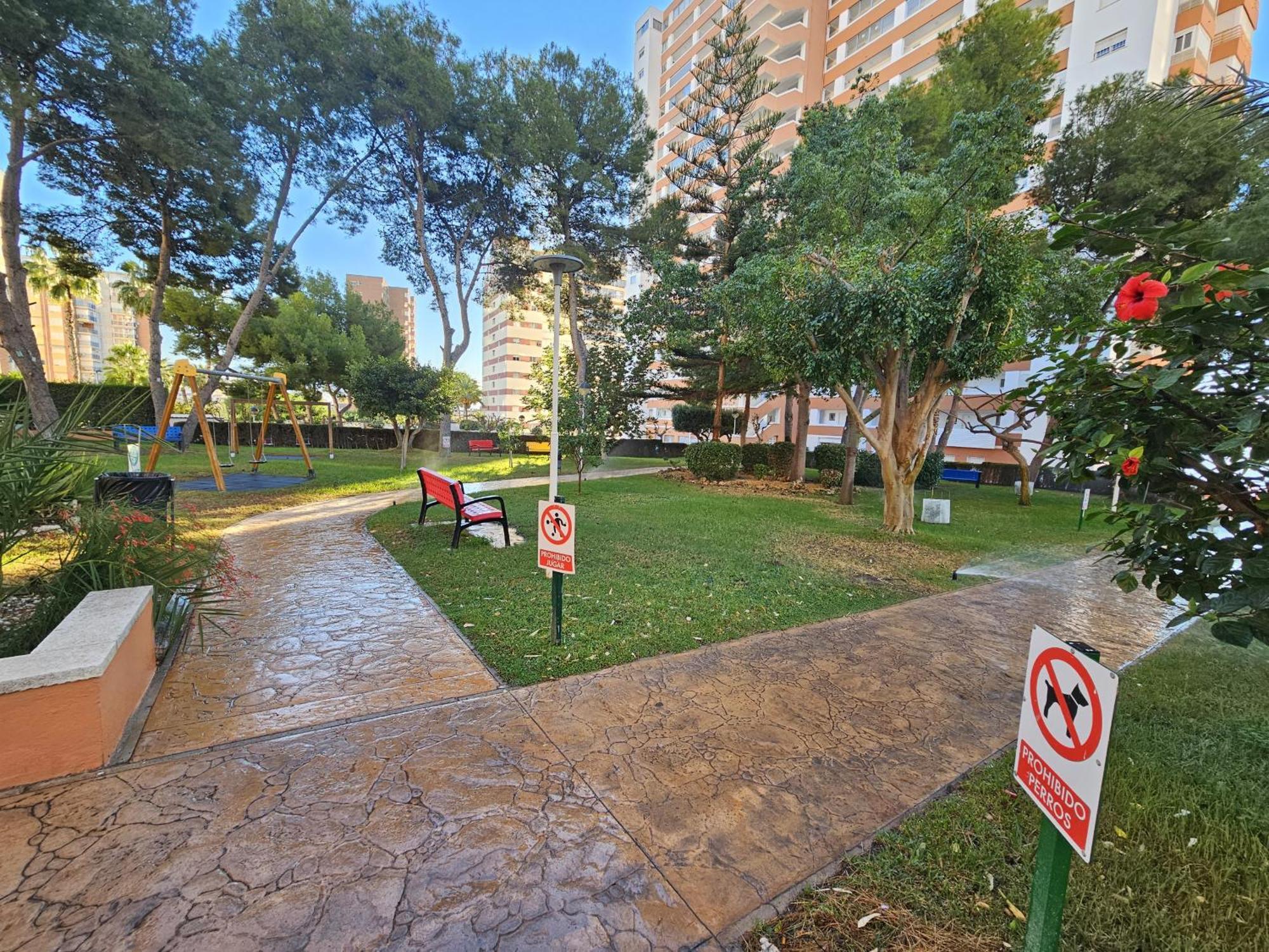 Apartment Provima B 16 If